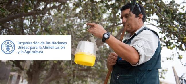 La cumbre de sanidad vegetal tiene como objetivo impulsar la seguridad alimentaria y salvaguardar la salud humana 